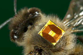 Пчелиный RFID-датчик